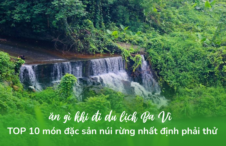 Ăn Gì Ở Ba Vì? Top 10 Đặc Sản Núi Rừng Nhất Định Phải Thử