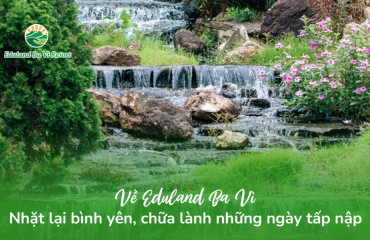 Về Eduland Ba Vì: Nhặt Lại Bình Yên, Chữa Lành Những Ngày Tấp Nập