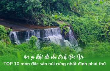 What to Eat in Ba Vi? Top 10 Must-Try Mountain Forest Specialties